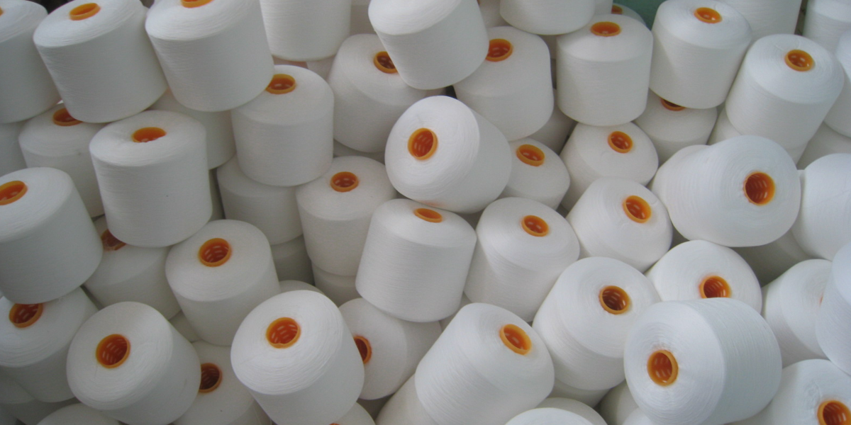 carded yarn supplier